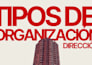 design professional powerpoint and canva presentations